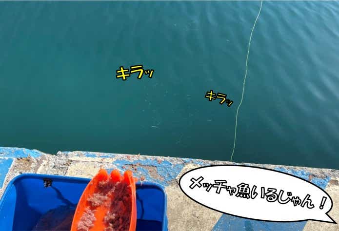 サビキ釣り比較実釣