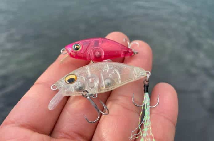 メガバスのビーグルとファットビーグル
