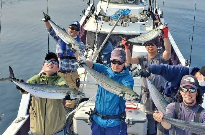 サワラの釣果