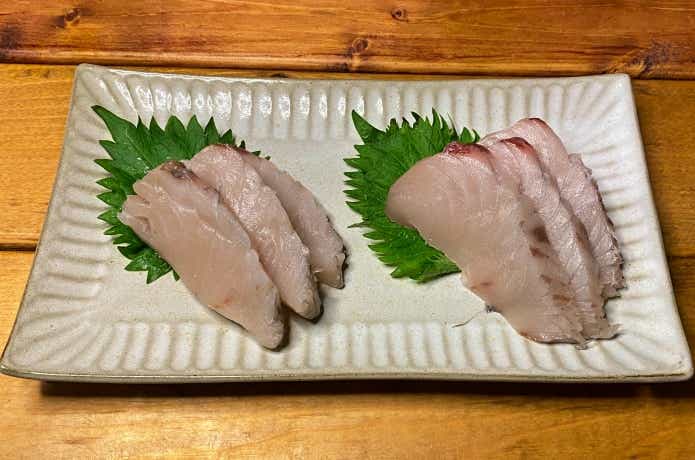 サワラの刺身