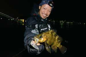 メバルの釣果写真