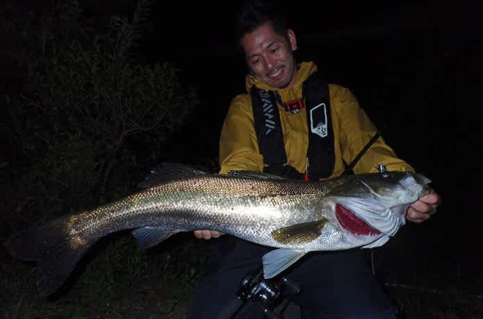 ベイトロッドで釣ったシーバス
