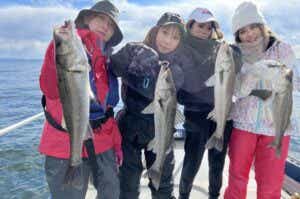 東京湾ボートシーバスの釣果