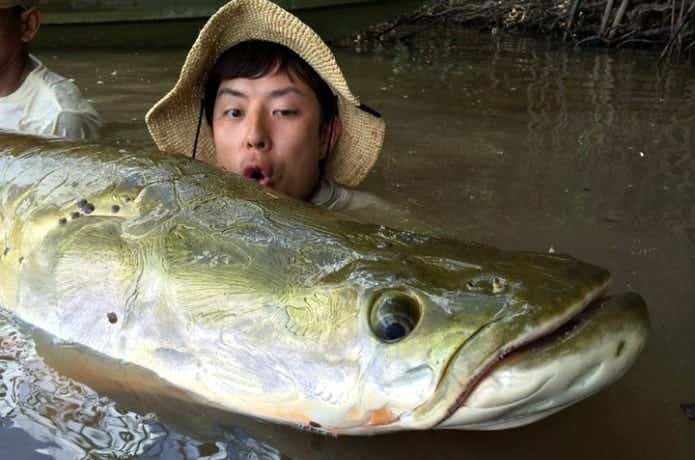 海外釣行で釣ったピラルク