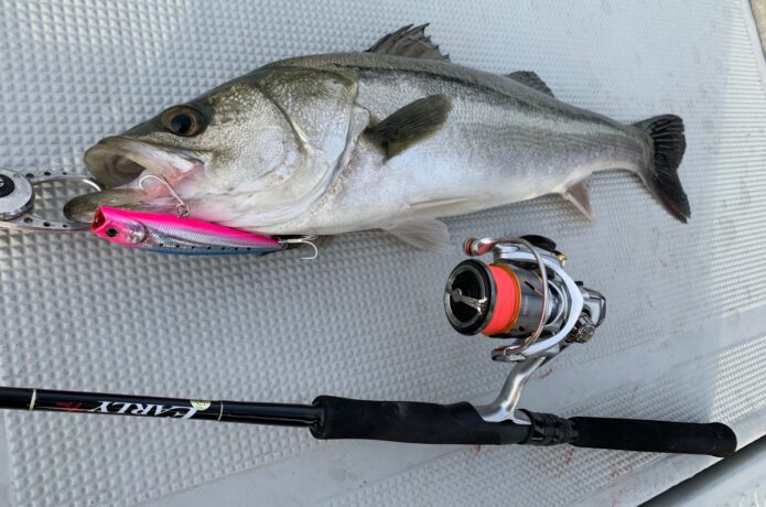 ボートシーバス ロッドおすすめ20選｜万能系から専用系まで大集合！