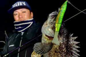 ビッグベイトで釣ったクロソイ