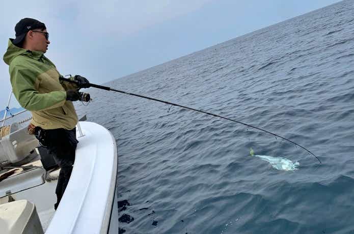 アウトレイジで魚を寄せる