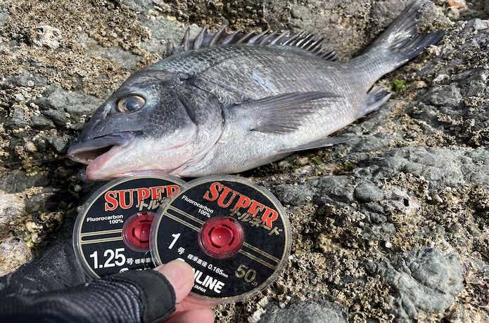 細ハリスで釣ったチヌ