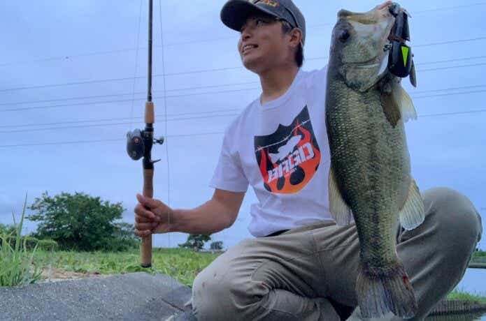 霞水系のバス