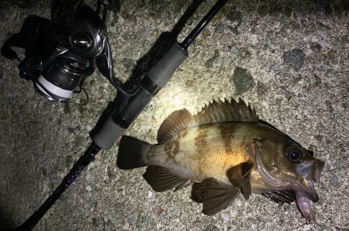 メバリングタックル