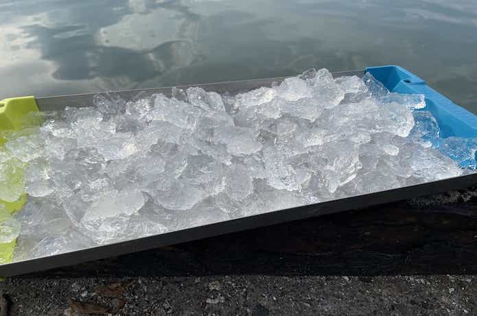 氷を乗せた冷えキントレー