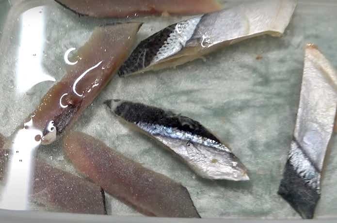 アミノリキッドに漬け込んだサンマ