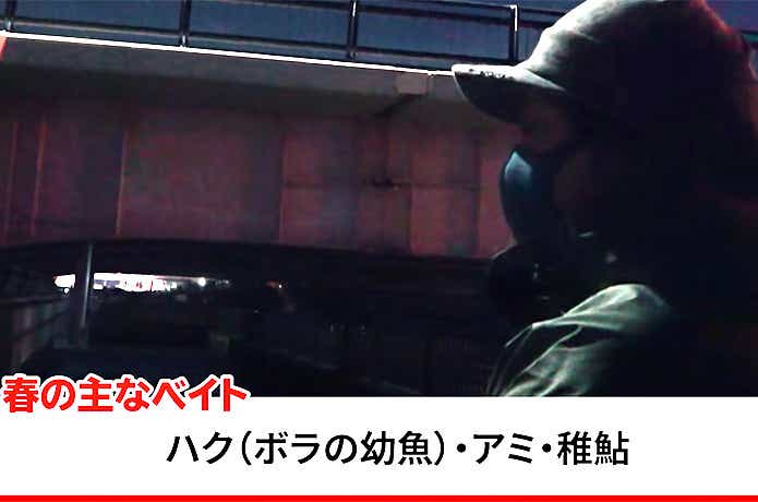 春のベイト解説