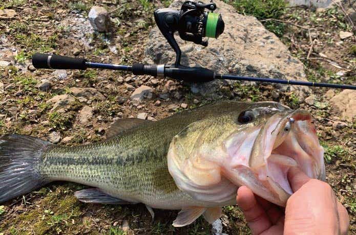ブラックバスのタックル