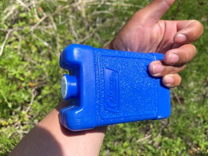 アブに噛まれた時の対処法