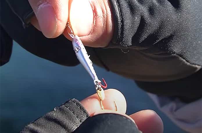 魚子メタル貫き