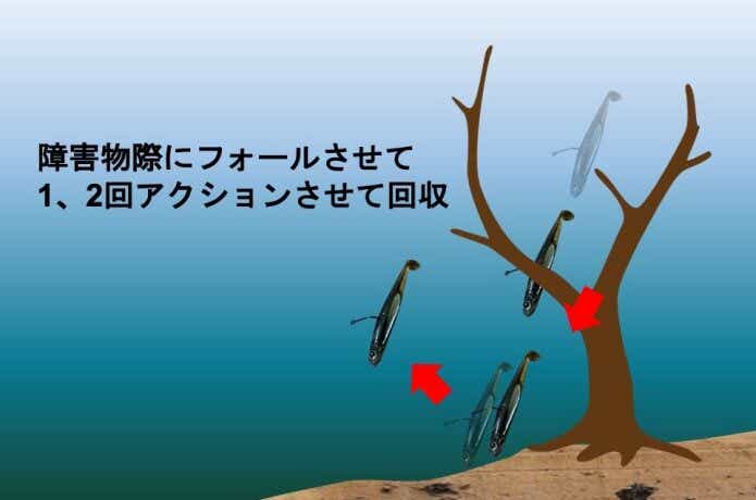 ヘビーネコリグの撃ちの釣り