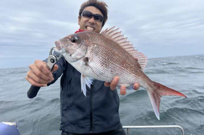 東京湾マダイの釣果