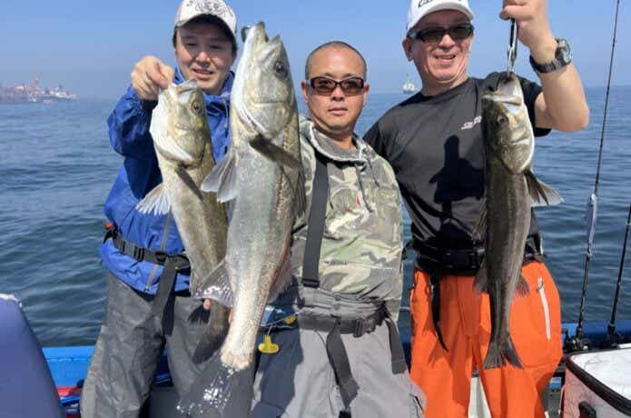 シーバスの釣果