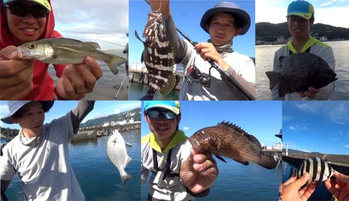 エビ撒き釣り釣果