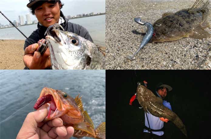 OSPのソルトワームの釣果
