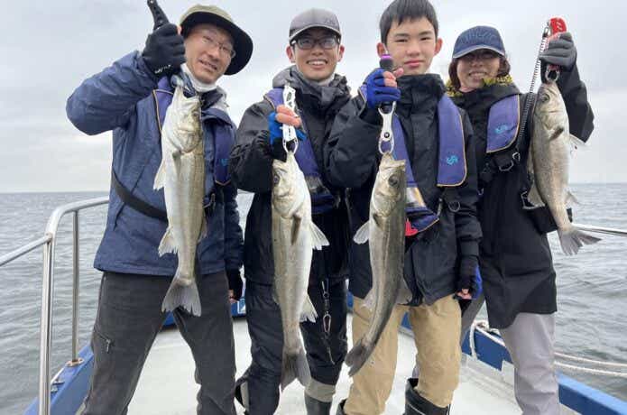 シーバスの釣果