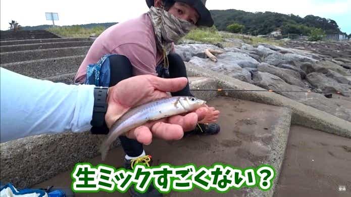 生ミック