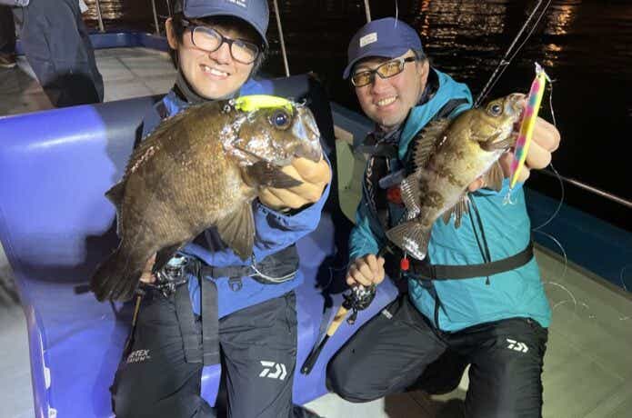 メバルの釣果