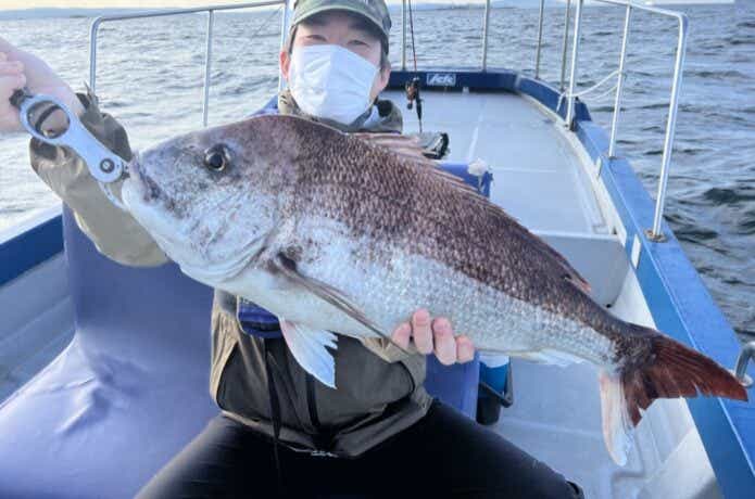 マダイの釣果