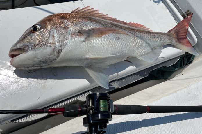 ディープタイラバのタックル