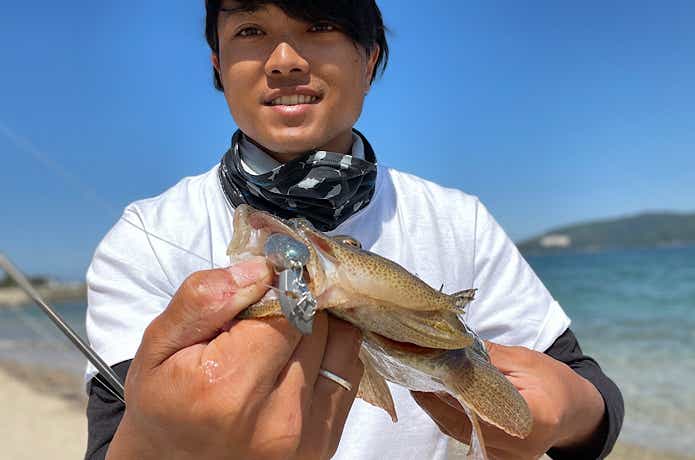 ドライブシャッドSWで釣ったフラットフィッシュ