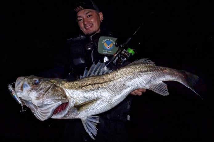 ハクパターンで釣れたシーバス