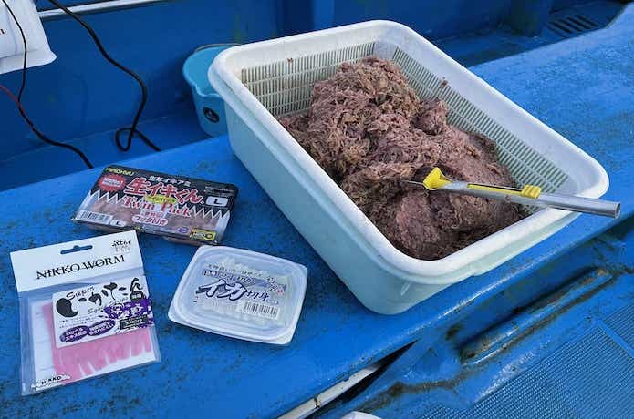 イサキ釣りのエサ