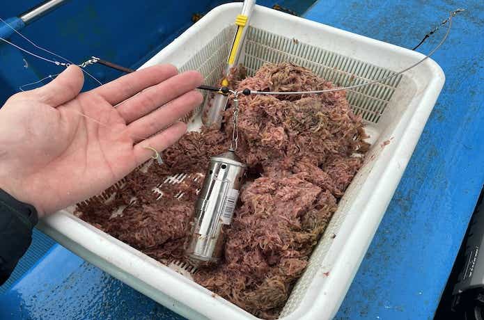 イサキ釣りの仕掛け