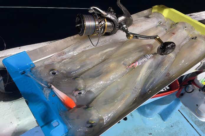 オモリグの釣果