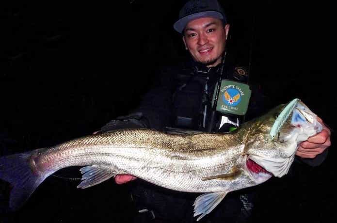 ハクパターンで釣れたシーバス