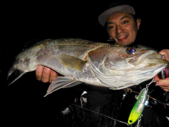 ハクパターンで釣れたシーバス