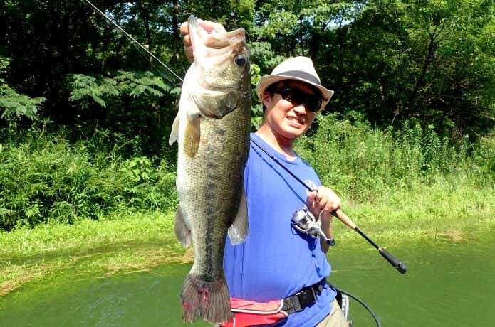 フラッシュJハドルのネコリグで釣ったバス