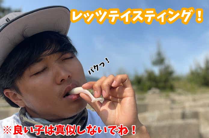 O.S.Pのソルト用ワームの味