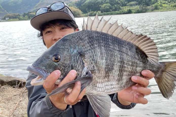 ドライブホッグSW 2.5inで釣ったチヌ
