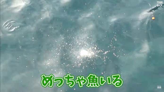 変わった釣り餌パン粉