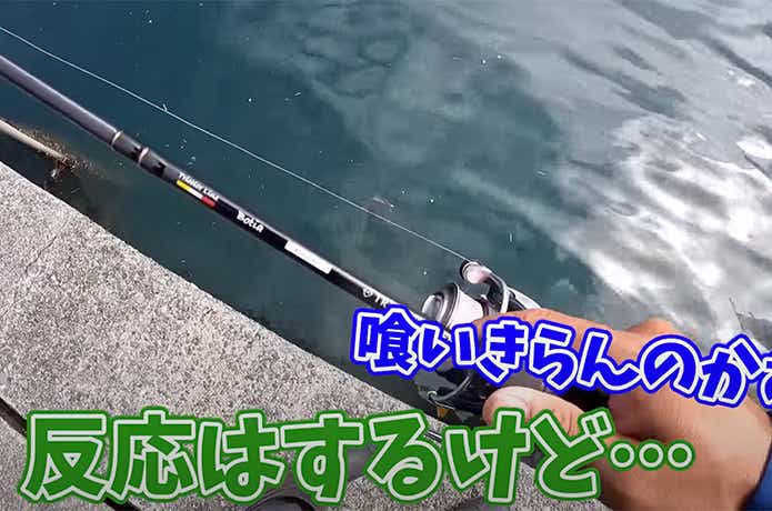 Fシンカー実釣シーン