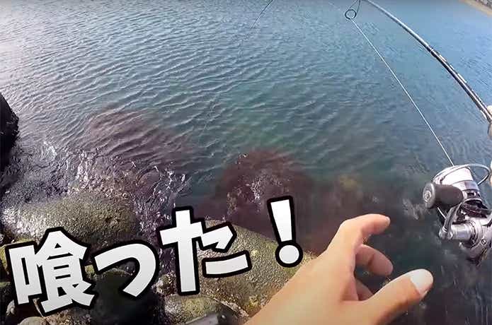 Fシンカーでヒット
