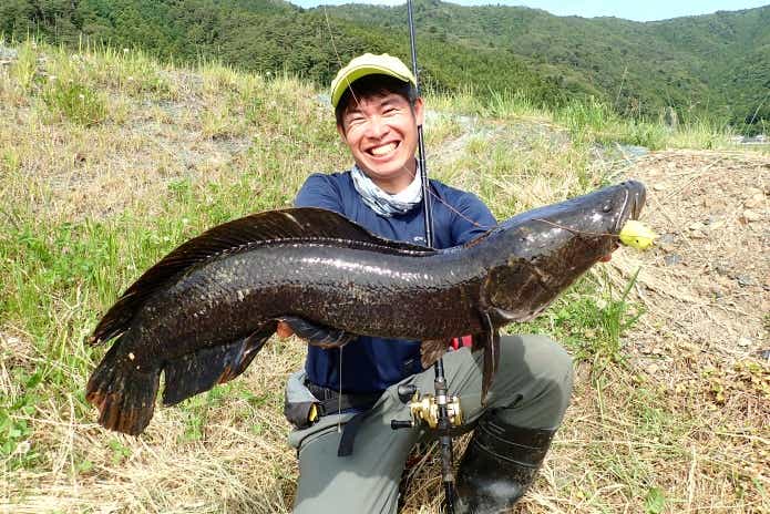 雷魚釣り