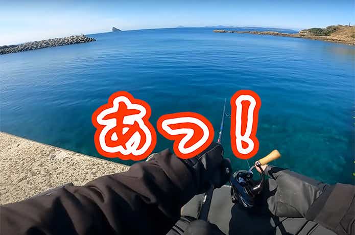エサが空中分解するシーン