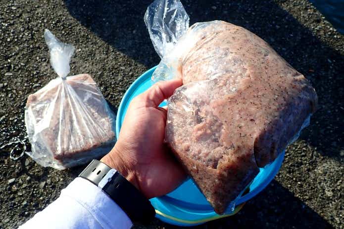 冷凍アミエビコマセ