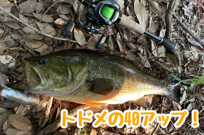 指に集いし 魚々の群れで釣れた40アップのバス