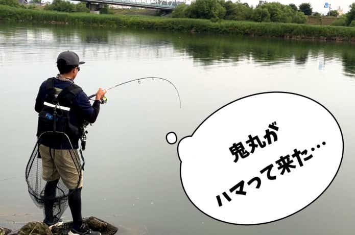 シーバスとファイト