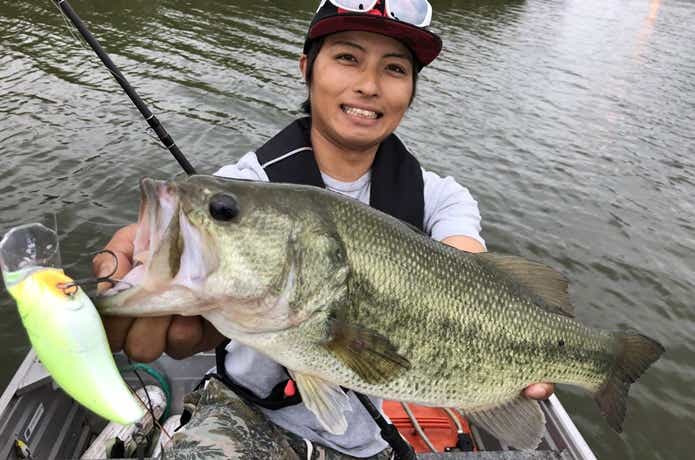 霞水系のバス
