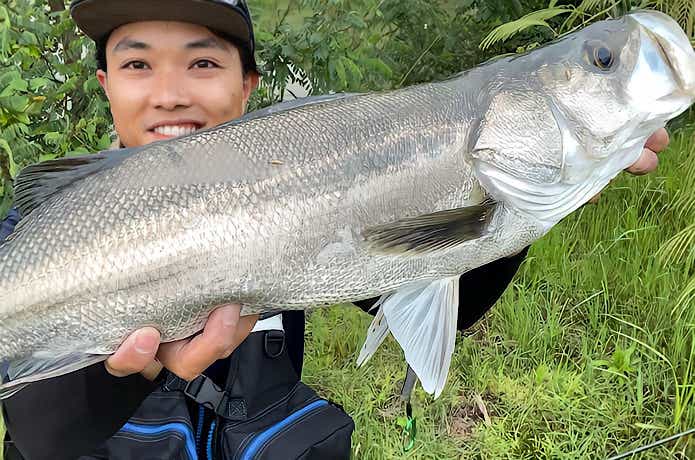 鬼丸で釣った大型シーバス